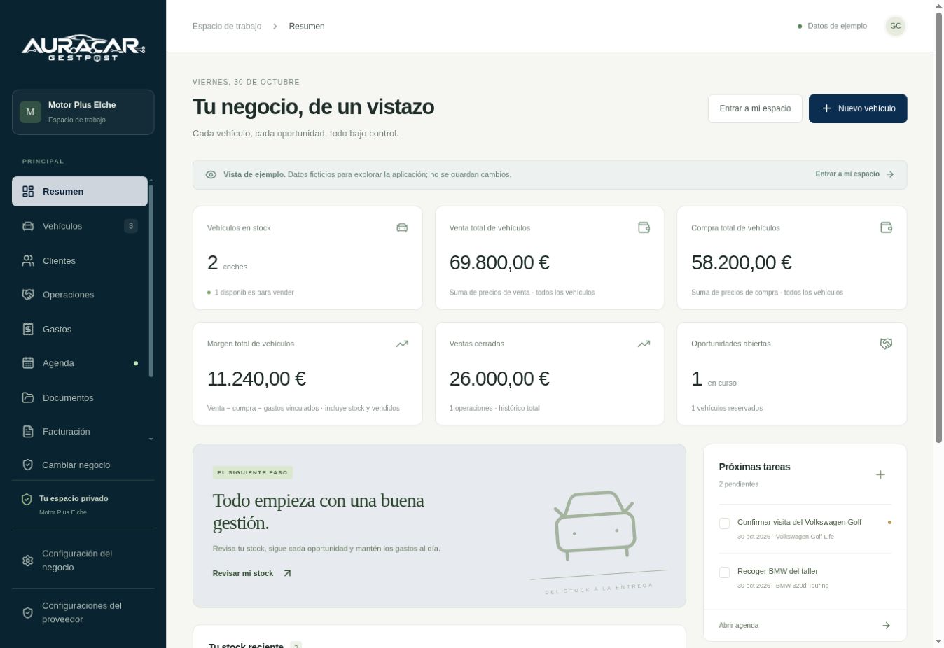 Pantalla real de Resumen de AURACAR con datos ficticios de demostración